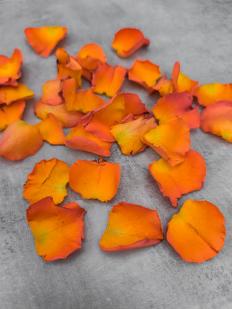Numerous orange rose petals lie scattered across a gray surface, creating a vibrant contrast and suggesting a romantic or celebratory atmosphereの写真素材
