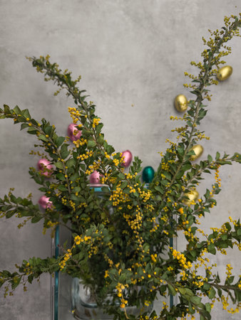 Mimosa branches and chocolate eggs celebrating easter in copy space gray background
