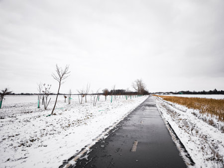 Snow-covered bike road through winter landscape
