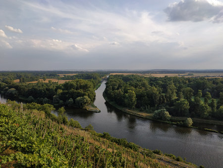 Confluence of rivers elbe and vltava near the town of melnik, czech republic, Meandering river through lush green landscape and vineyards under cloudy skyの写真素材