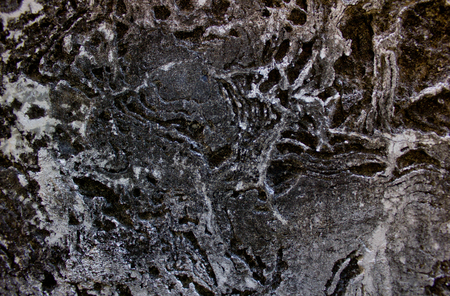 Pattern abstract background cement floorの写真素材
