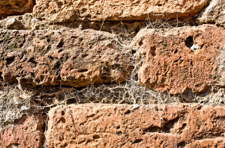 Close up abstract brick cement block concrete pavement floor pattern wall background textureの写真素材