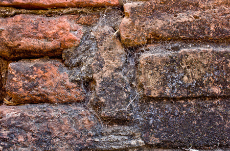Close up abstract brick cement block concrete pavement floor pattern wall background textureの写真素材