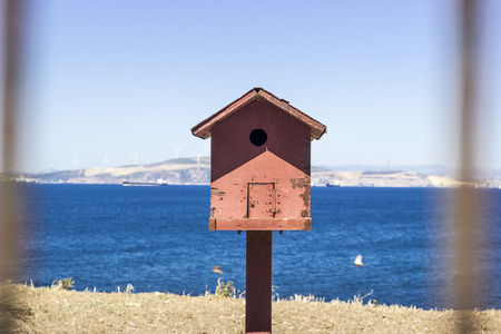 Close-up shot of colorful bird house near coastline at summertimeの写真素材