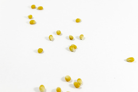 Spreaded corn seeds on white background with open lightの写真素材
