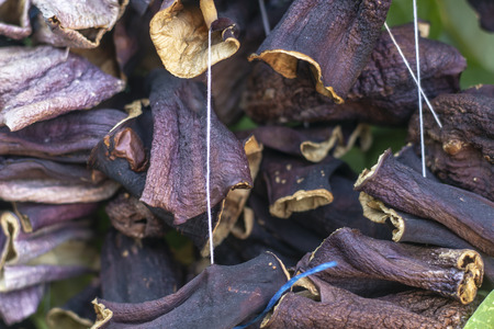 Close-up front shoot for dried aubergine with traditional hanging method in Turkeyの写真素材