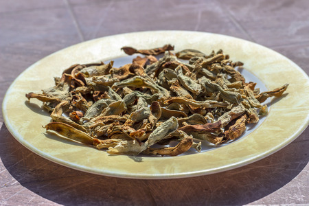 Close-up angled shoot of string beans dried under the sunlight on the plate