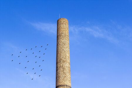 Open clear shoot of old masonry brick factory chimney at summertime with illustrated birdsの写真素材