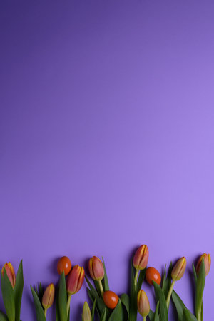 Happy Easter! Decorated eggs, red tulips and porcelain rabbit on purple background.の写真素材