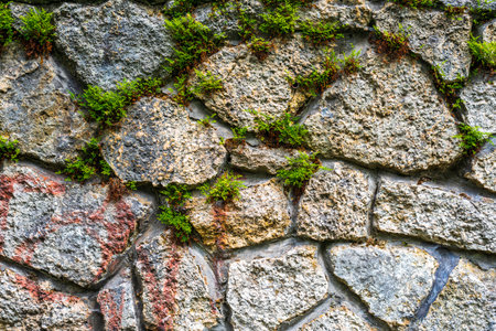 Background, pattern. Rustic natural stone wall with green moss and plants.の写真素材