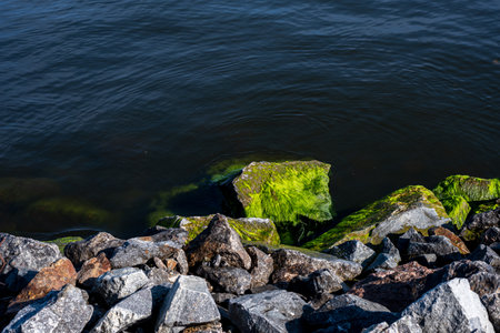 Stones, water, sea, lake and green algae on stones.