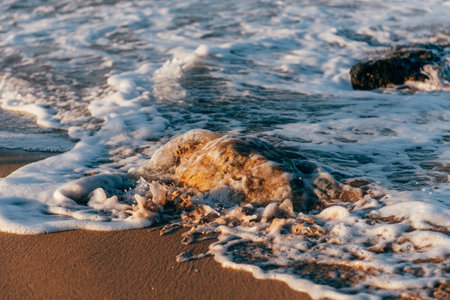 sea, waves, beach, sand and stone at sunset time.の写真素材