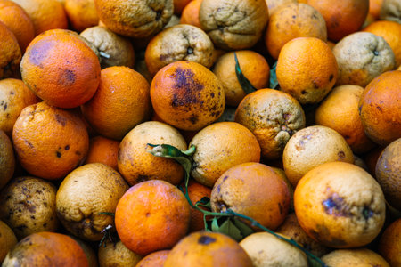 Fresh orange fruits in box on market. Chania, Crete, Greece.の写真素材