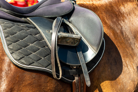 horse saddle made of black leather and textile on yellow horse.の写真素材