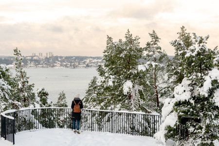 young woman on the observation deck and admiring the winter view of Lake Malarenの写真素材