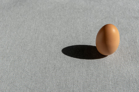 Fresh brown chicken egg on gray background.