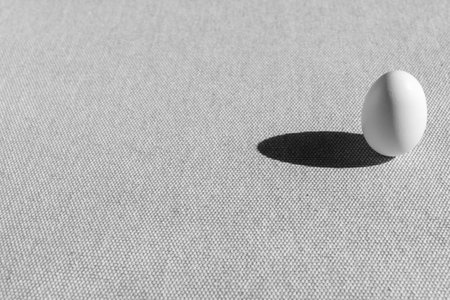 Fresh white small chicken egg on gray background.