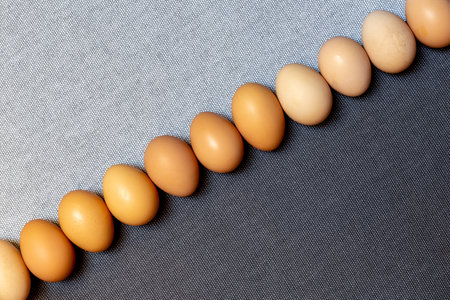 Fresh brown chicken eggs on the gray background.