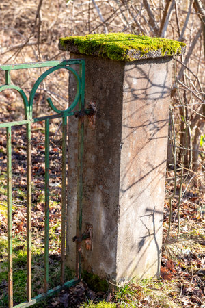 corroded wrought iron fence, old metal ornaments. mossy concrete columns