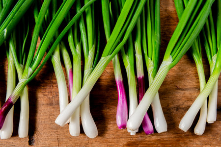 fresh green onionの写真素材