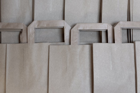 craft paper bag. paper bags with handles for shopping