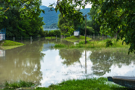 Groundwater Wells. High water and seasonal flood in summer and autumn after raining. the plants on the river bank are flooded by the river Danube in sunny day.の写真素材