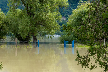 High water and seasonal flood in summer and autumn after raining. the plants on the river bank are flooded by the river Danube.の写真素材