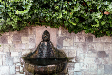 Beautiful drinking water fountain in summer.の写真素材