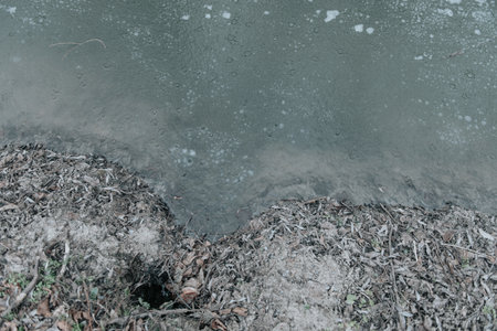 thin and frosty ice surface close up. Detailed photo patterned background