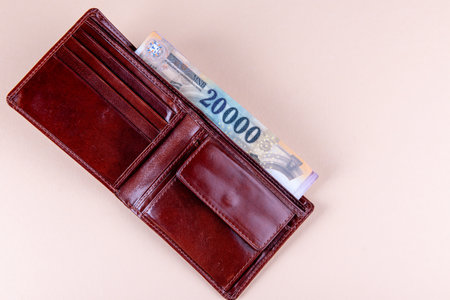 Hungarian HUF 20,000 banknotes in brown leather walletの写真素材