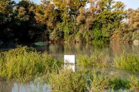 Sunset on a flooded river, flood, river overflowed, flooded area, floodplainの写真素材