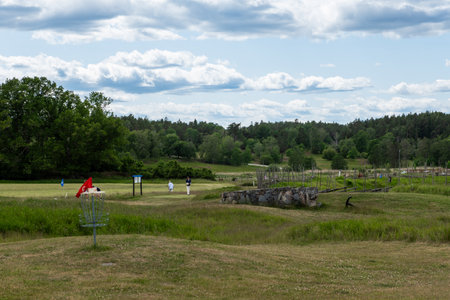 A metal disc golf basket with chains and a red flag marker standing on a grassy field, surrounded by lush green trees in a park setting.の写真素材