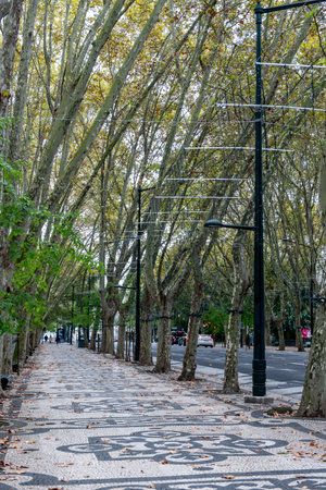 Avenida da Liberdade - Lisboa, street in Lisbon, Portugal, surrounded by historic buildings and urban scenery.のeditorial素材