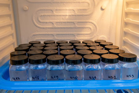 Laboratory. Plastic bottles with liquid on blue tray on shelf in the fridge.