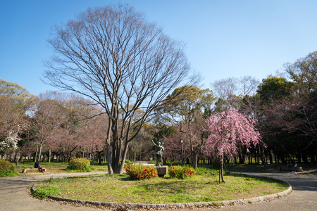 Nisinomaru Garden,Osaka japanのeditorial素材