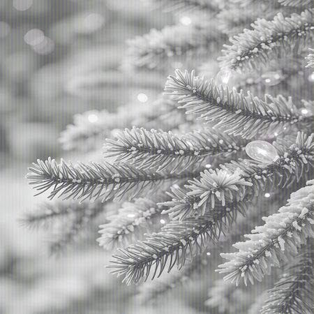 A detailed, grayscale close-up shot of frosted pine branches adorned with small, illuminated Christmas lights. The needles are covered in a delicate layer of frost, creating a soft, textured appearance. The background features a bokeh effect of blurred lights and foliage, emphasizing the intricate details of the branches and the festive illumination.の素材