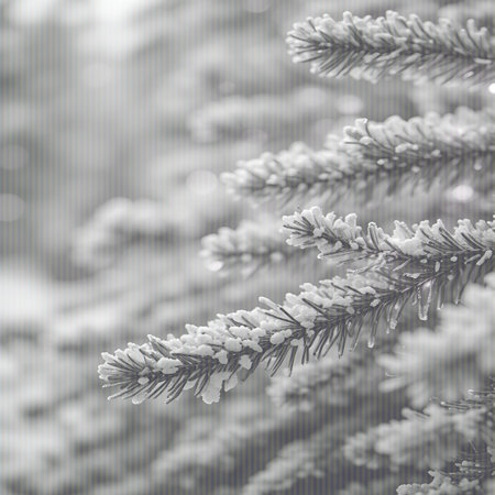 This grayscale image presents a close-up view of pine tree branches heavily coated in frost and snow. The sharp details of the needles contrast with a soft, out-of-focus background of bokeh lights and muted winter scenery. The texture of the frost and snow is clearly visible, conveying a sense of cold and winter's delicate touch on nature.の素材