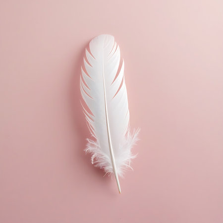 A single, pristine white feather rests on a soft, pastel pink background. The feather is positioned vertically, with its delicate barbs fanning out symmetrically. The tip of the feather shows a gentle fluffiness, adding a touch of softness to the composition. The lighting is even, highlighting the subtle texture and form of the feather against the smooth, solid color backdrop.の素材
