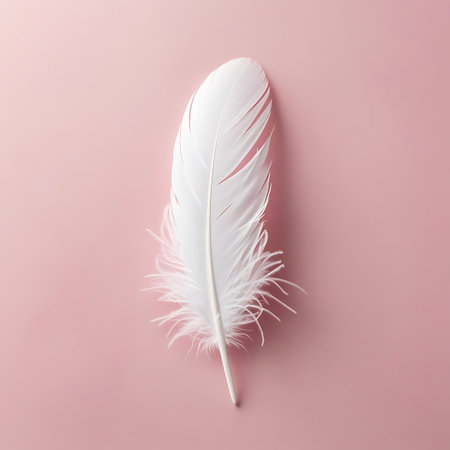 A detailed view of a white feather positioned on a soft pink background. The feather's main body is smooth and elongated, with clearly defined barbs. The base of the feather is adorned with a generous amount of fluffy, downy material, creating a soft, ethereal appearance. The lighting emphasizes the texture and delicate nature of the feather.の素材