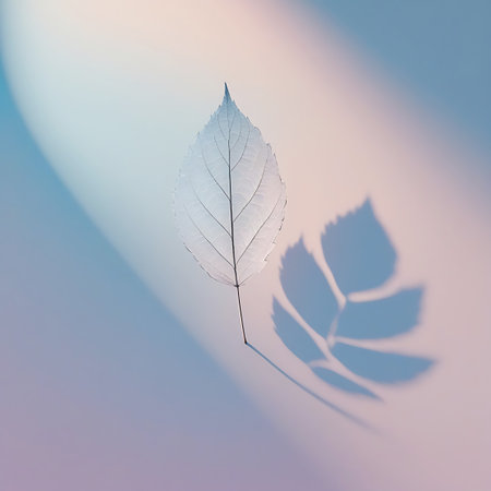 A single, delicate white leaf with intricate vein patterns is positioned on a soft, abstract gradient background. The leaf is translucent and appears almost ethereal. A distinct shadow of the leaf, cast in a fanned-out shape, is visible on the surface, adding depth and dimension to the minimalist composition.の素材