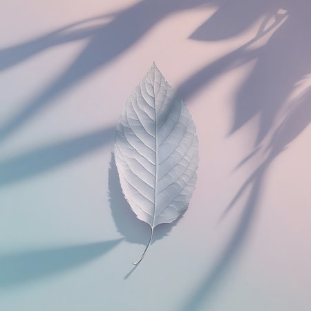 A single, detailed white leaf is positioned centrally against a soft pastel gradient background transitioning from pink to blue. The leaf's intricate veins are clearly visible, casting a delicate shadow. Overlaid on the background are abstract, elongated shadows of foliage, creating a sense of depth and natural light.の素材