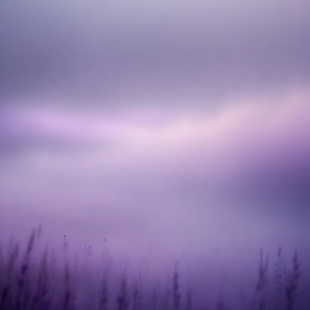 A soft focus image of a lavender field under a hazy, muted purple sky. Tall stalks of lavender are visible in the foreground, blurred and indistinct. The sky is a gradient of soft purples and whites, with a brighter band of light suggesting the horizon or diffused sunlight. The overall impression is one of tranquility and dreaminess.の素材