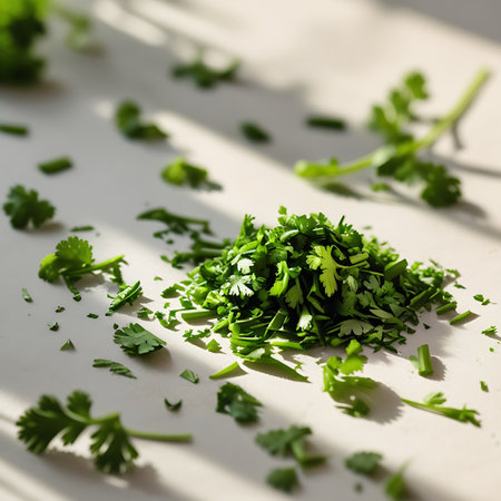A close-up view of a pile of chopped fresh green cilantro on a white surface. The intricate details of the herb's leaves and stems are visible. Many small, scattered cilantro leaves and sprigs are spread around the main pile, some catching the sunlight and creating distinct shadow patterns on the white surface. The shallow depth of field blurs the background, focusing attention on the herb.の素材