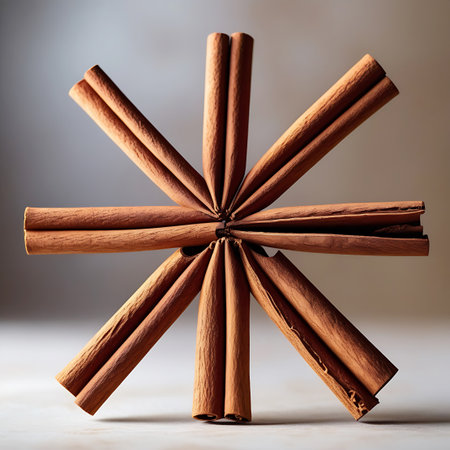 This image showcases a symmetrical arrangement of cinnamon sticks forming a radial pattern. The sticks are positioned with their ends meeting in the center and extending outwards, creating a star-like shape. The warm, earthy tones of the cinnamon and its natural texture are highlighted against a subtly blurred background.の素材