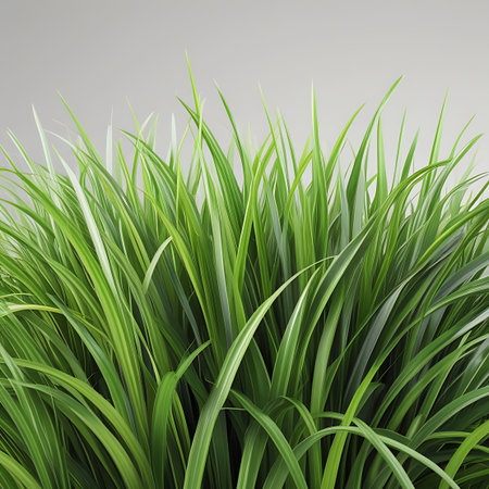 A detailed close-up of a dense clump of vibrant green grass blades. The focus is on the texture and form of the individual leaves against a plain background.の素材