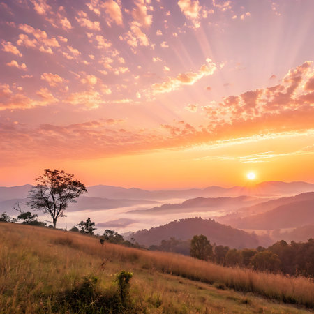 The sun rises over a misty mountain range, casting golden rays through the sky. A lone tree stands on a grassy hill in the foreground, overlooking the serene landscape.の素材