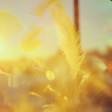 Bright showing close-up of a yellow feather in bright golden sunlight with bokeh keywords: feather, yellow, golden, sunlight, bright, bokeh, close-up, macro, nature, abstract, light, warm, airy,...の素材