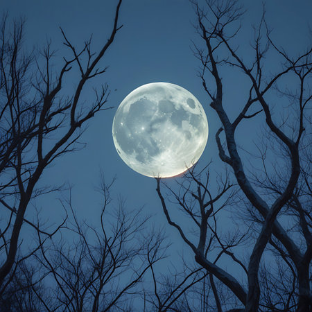 A luminous full moon is framed by the stark silhouettes of bare tree branches against a deep blue night sky.の素材