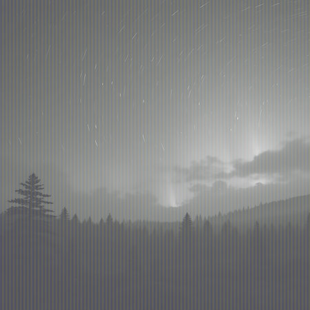 Star trails streak across the night sky above a misty, silhouetted forest landscape, with subtle light rays breaking through the clouds.の素材