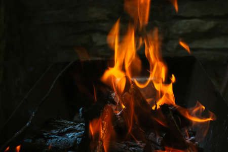 Fire a campfire on the grill before cooking meat.の写真素材